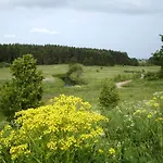 Palac Wojciechy