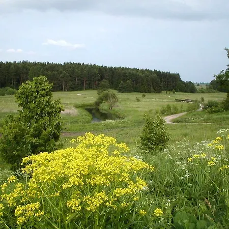 Palac Wojciechy